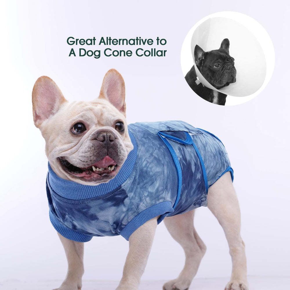 Kuoser dog wearing suit shows comfortable eating, sleeping, and gentle walking.