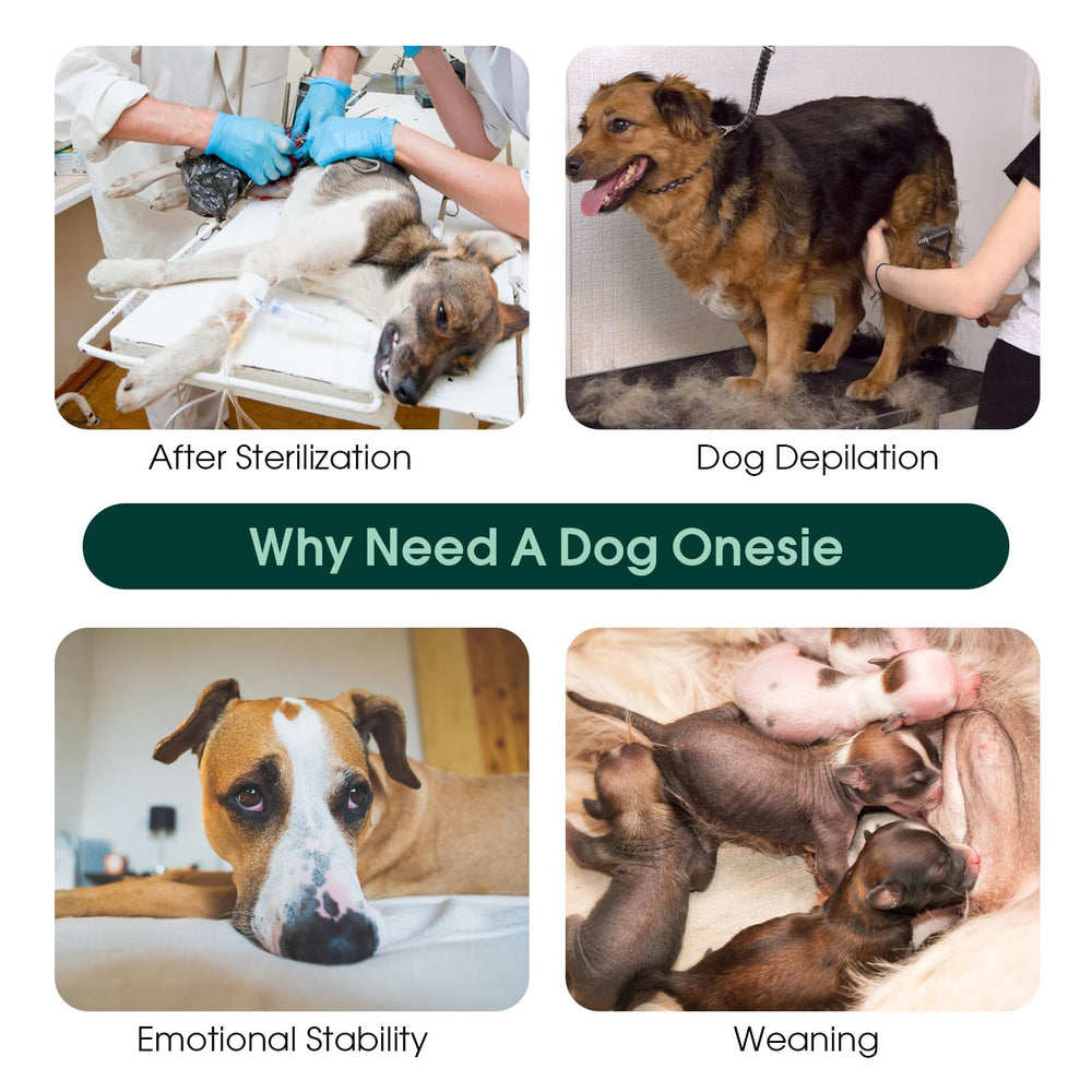 Kuoser dog surgery recovery suit protects wounds and reduces licking and scratching
