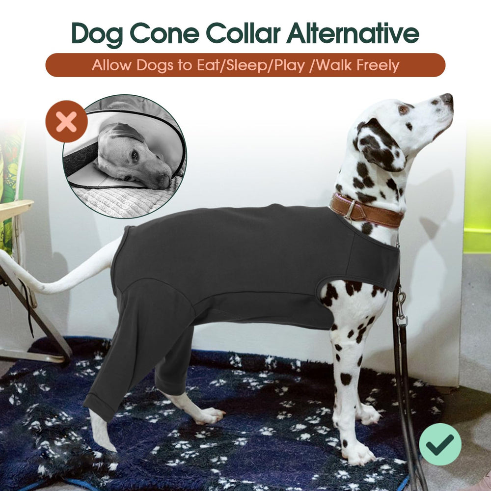 Kuoser dog surgery abdomen protection view highlighting wound area coverage