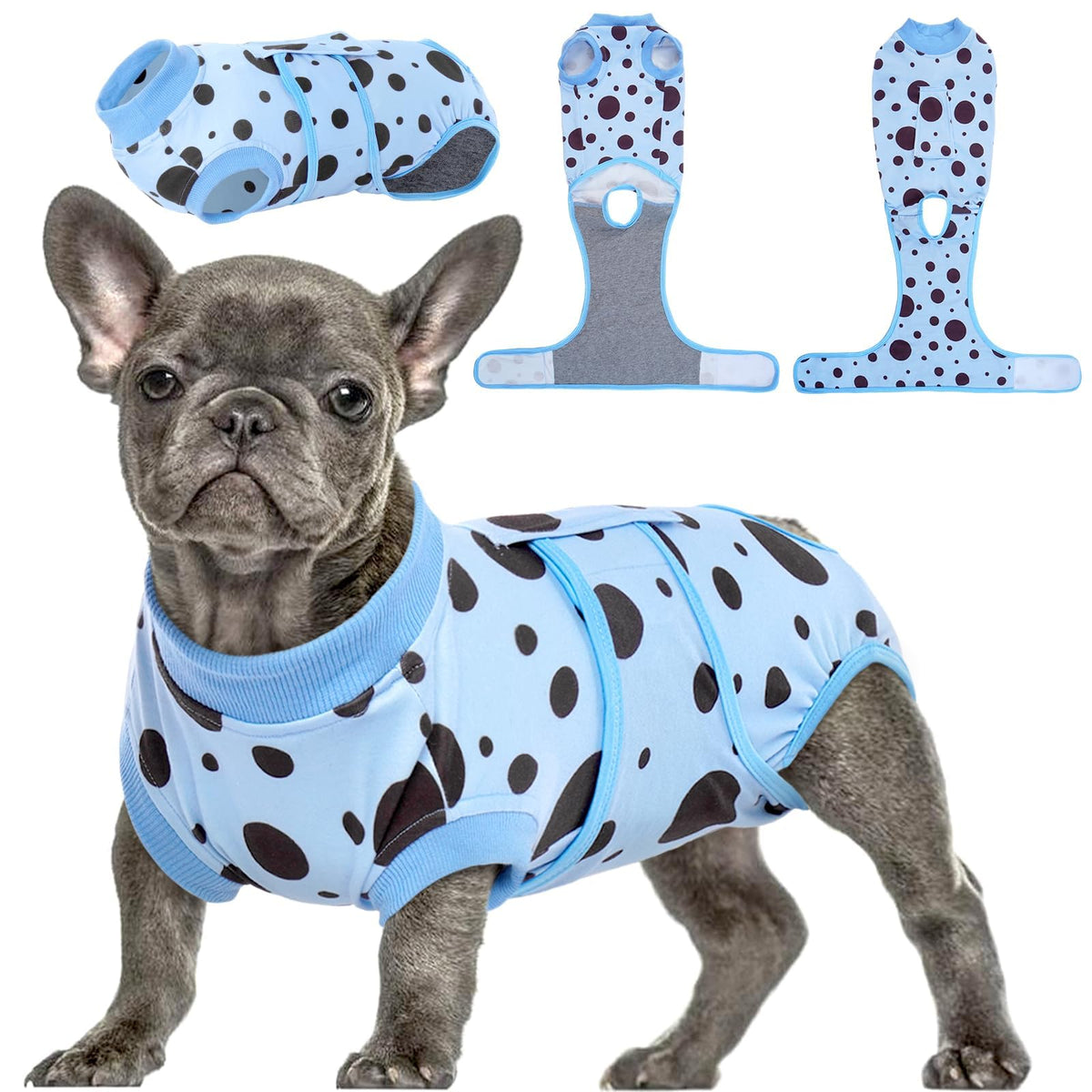 Kuoser dog surgery suit front view with blue polka dots for comfortable post-op recovery