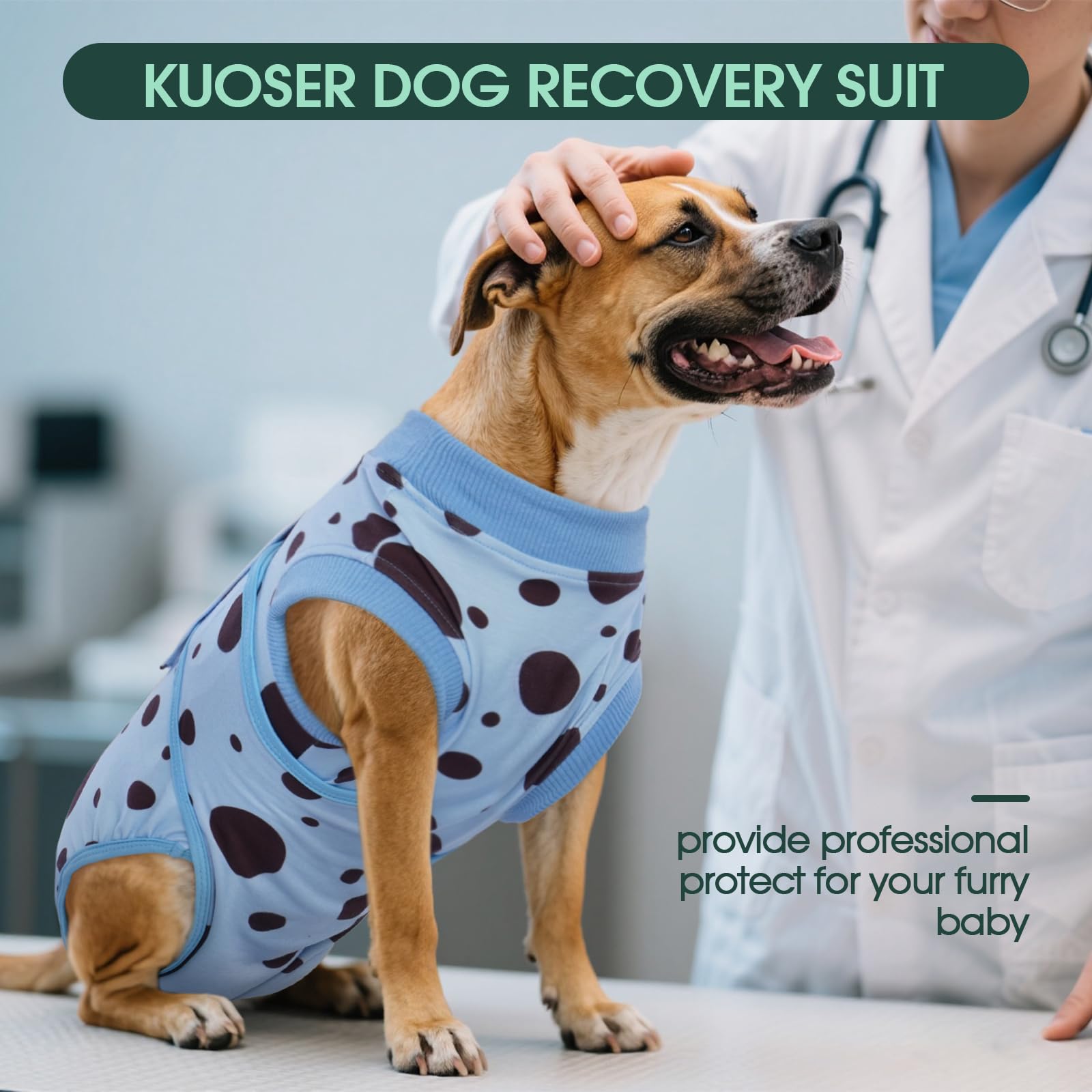 Kuoser Dog Surgery Suit on dog post-op demonstrates easy on-off design