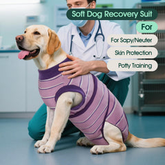 Kuoser dog surgery recovery suit purple strips XS back view demonstrates full-body protection.