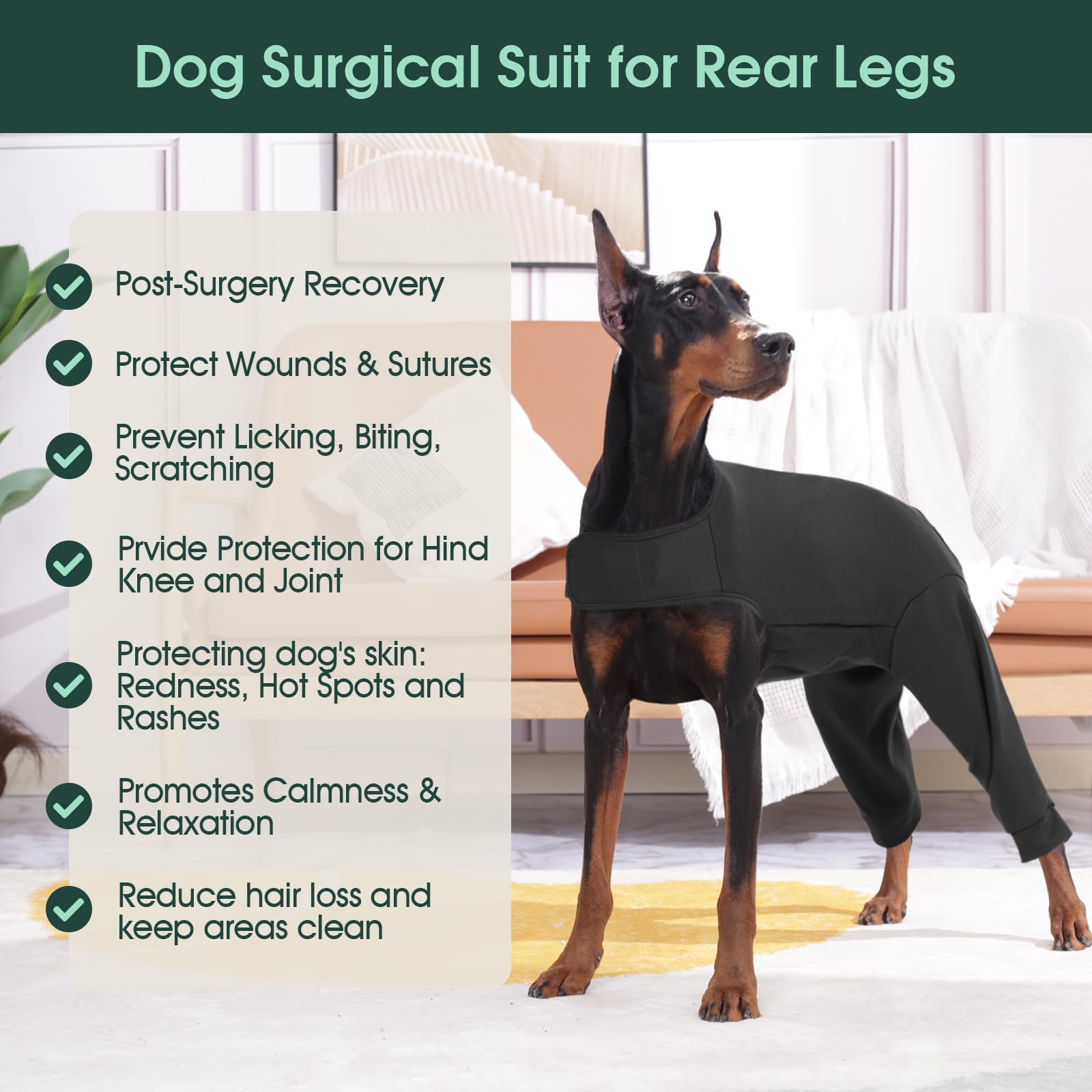 Kuoser dog surgery suit size chart featuring seven options for accurate fit