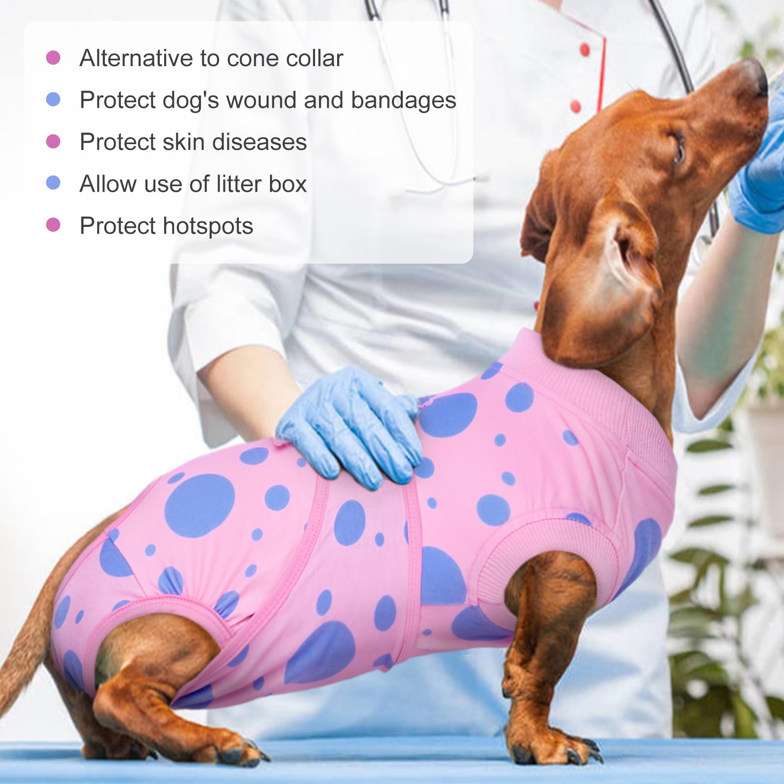 Kuoser dog surgery suit washable and quick-dry for busy households.