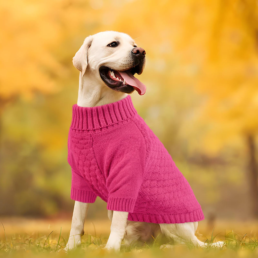 Kuoser dog sweater daily walk comfort in chilly weather