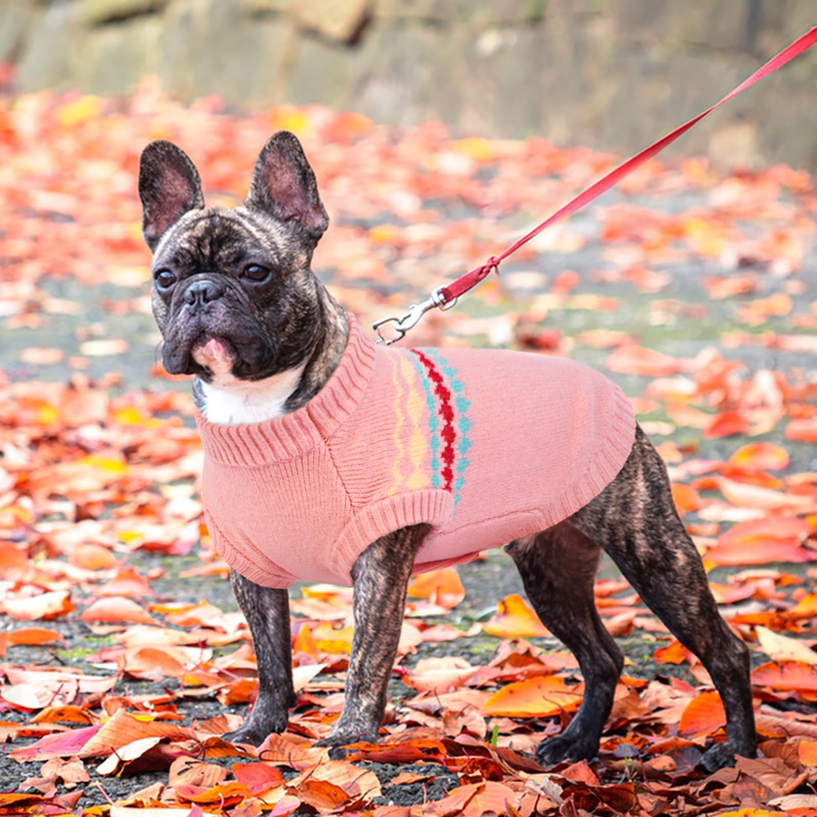Kuoser dog sweater machine washable design simplifies cleanup after outdoor adventures.