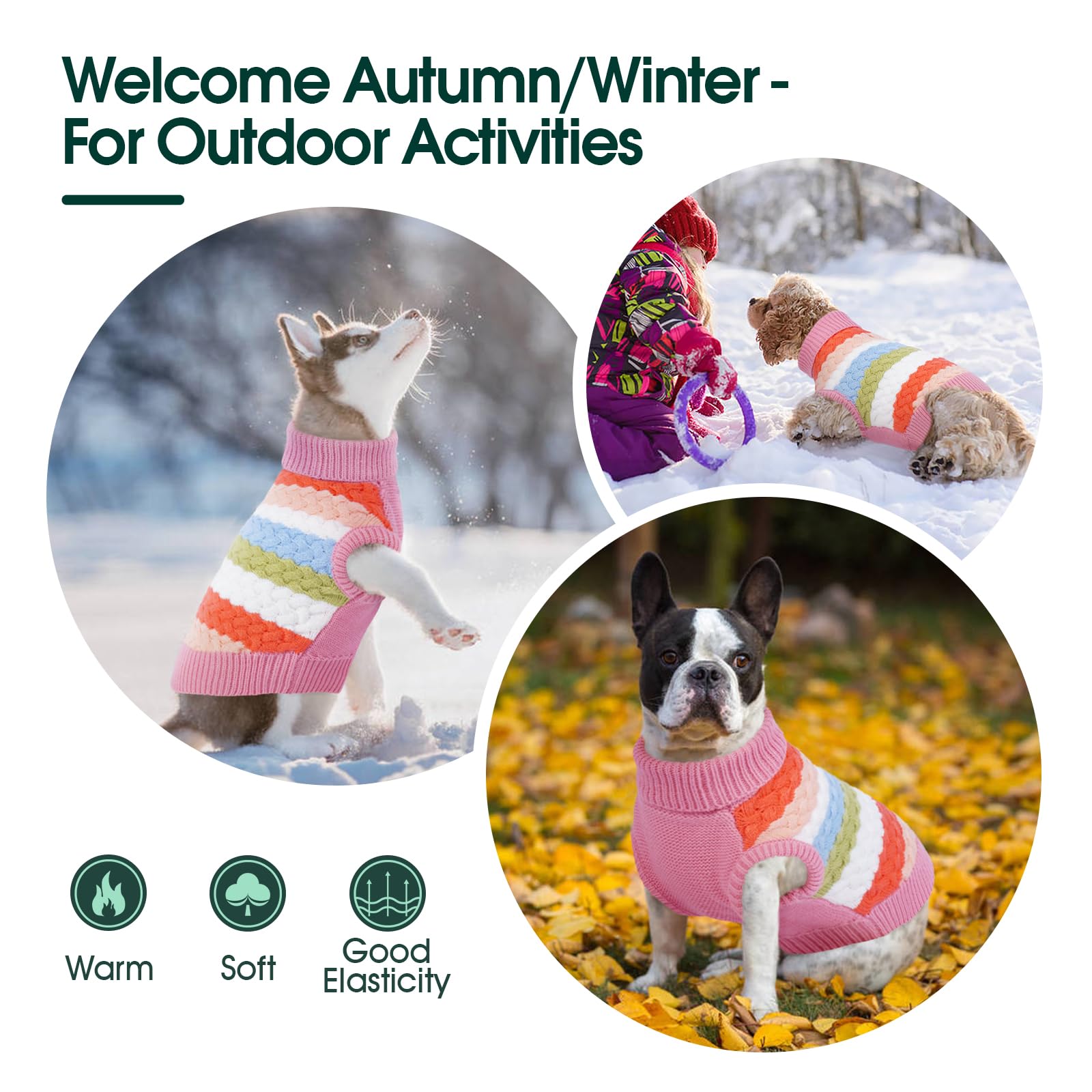 Kuoser pink size-range display communicates seven size options for many dogs