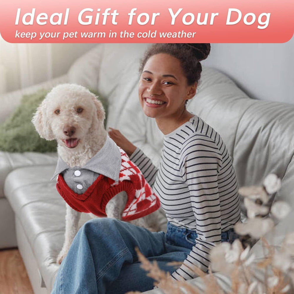 Kuoser red plaid knitwear worn by model for stylish pet fashion