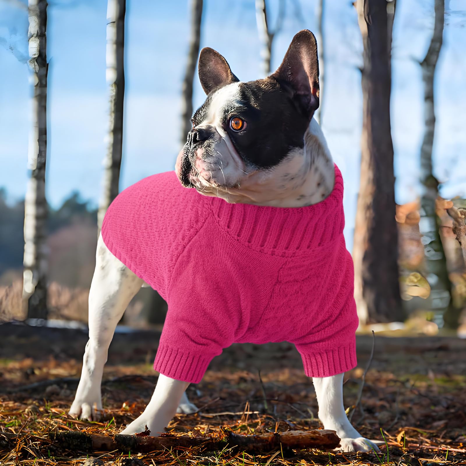 Kuoser dog sweater rose XL adds stylish warmth