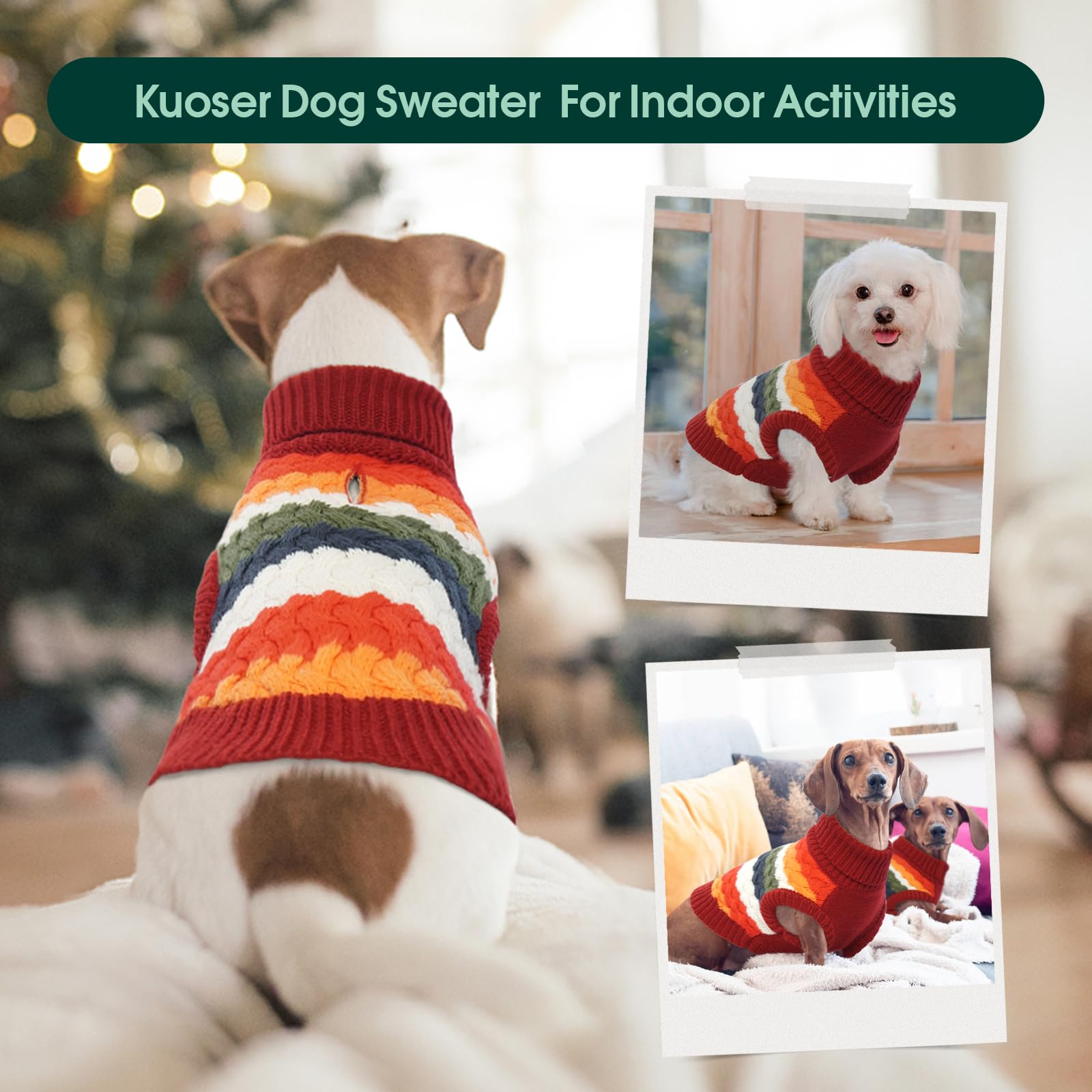 Kuoser size range display, fits Teddy Beagle Bulldog and more