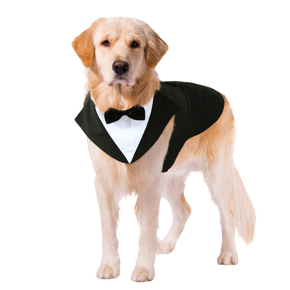 Kuoser Dog Tuxedo Bandana Set front view hints at wedding-ready style for events