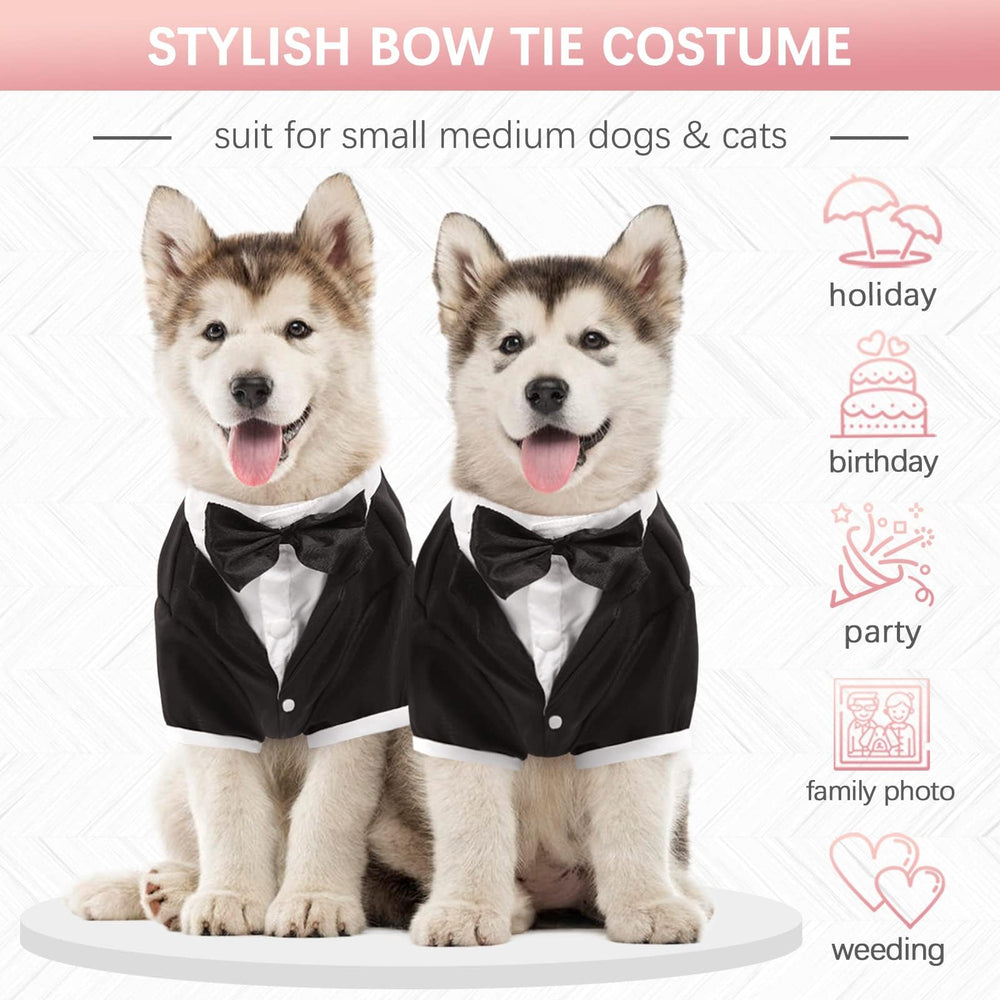 Kuoser dog tuxedo black fabric close-up highlighting material