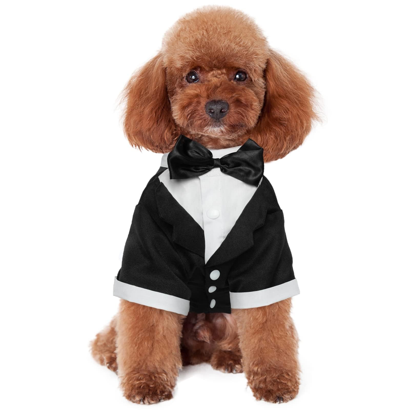 Kuoser dog tuxedo front view with bow tie for formal events