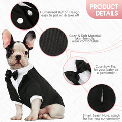 Kuoser dog tuxedo worn by a dog at a celebration