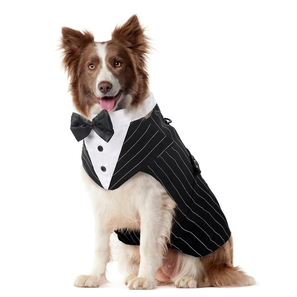 Kuoser dog tuxedo set on dog for formal party photos