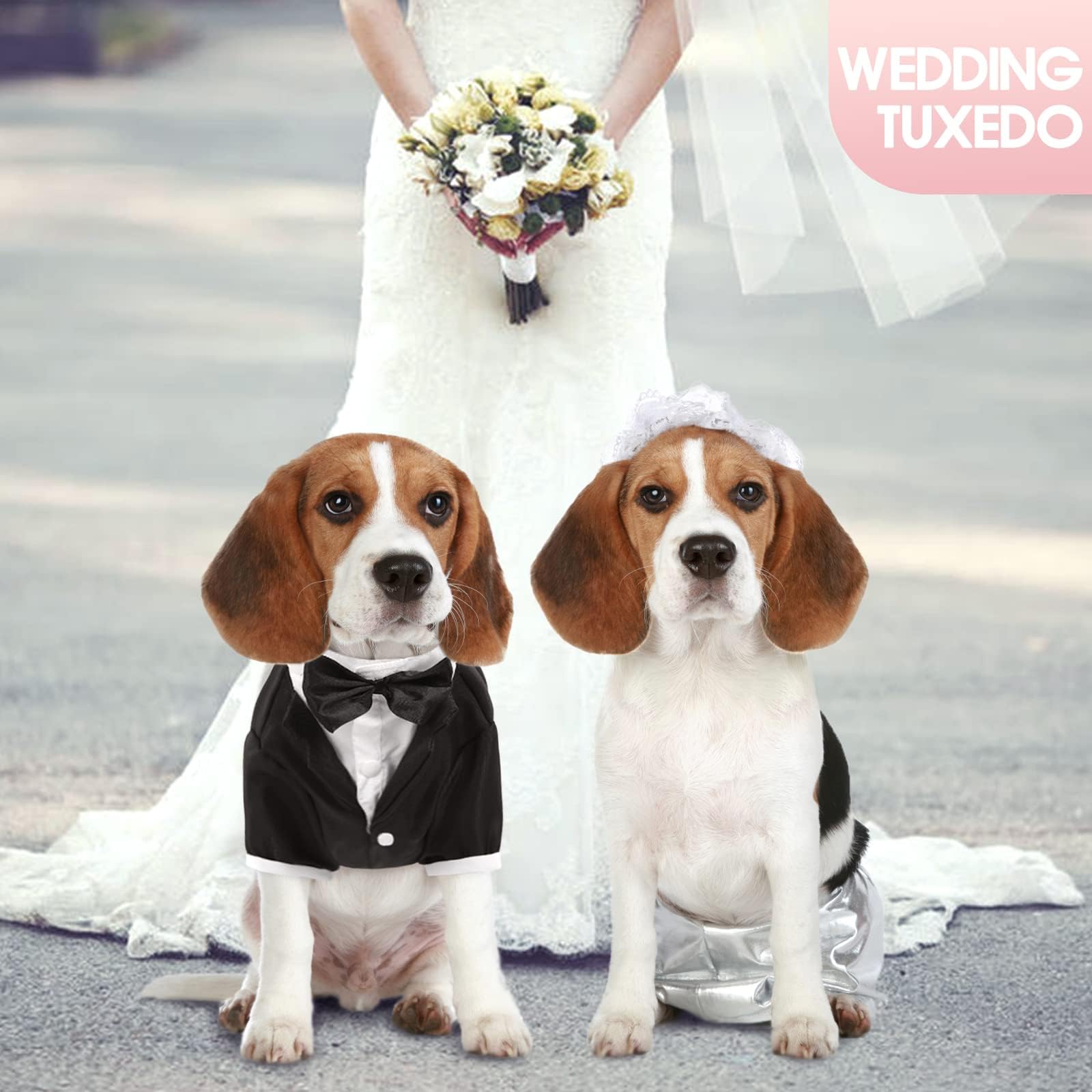 Kuoser dog tuxedo size range illustration highlighting six sizes