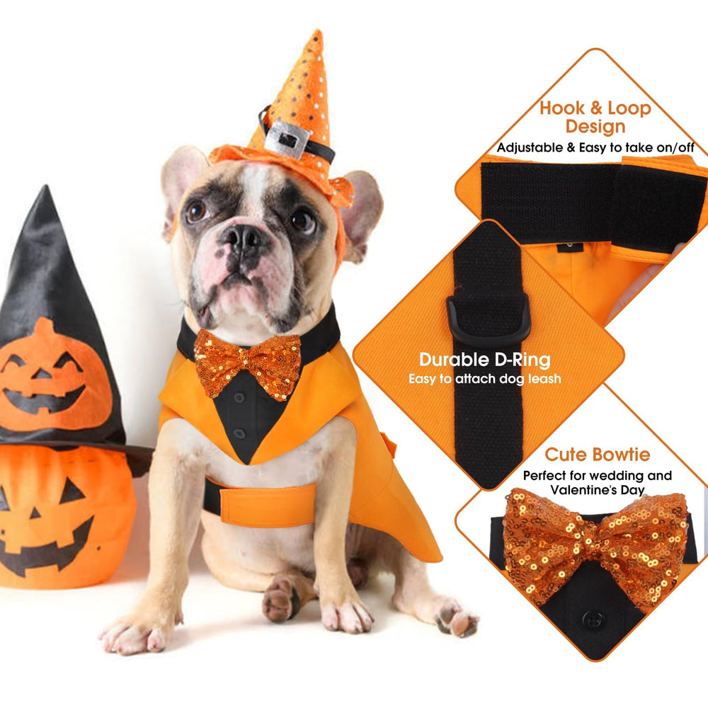 Kuoser dog tuxedo pumpkin back view showcasing festive silhouette