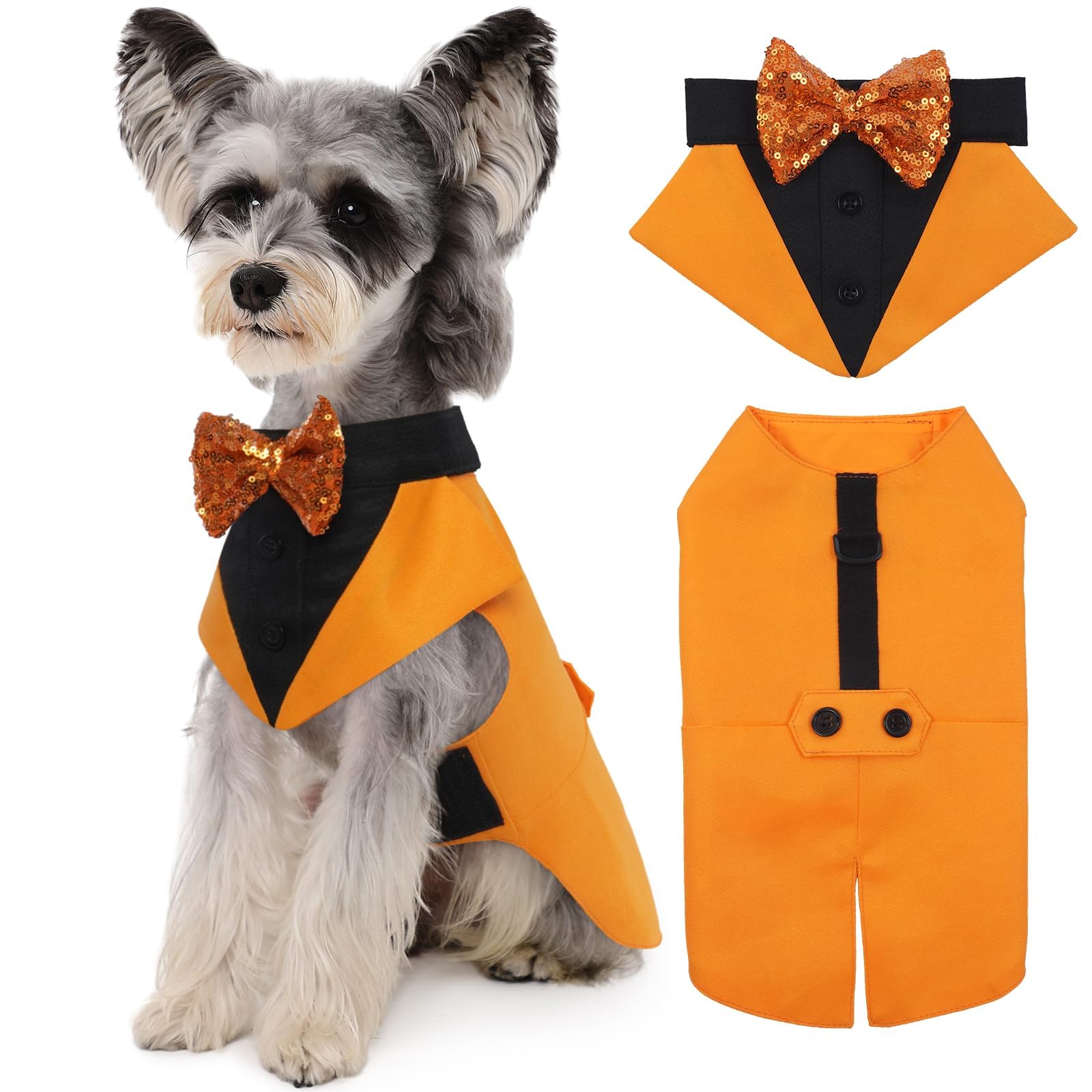 Kuoser dog tuxedo pumpkin front view for formal events and photos