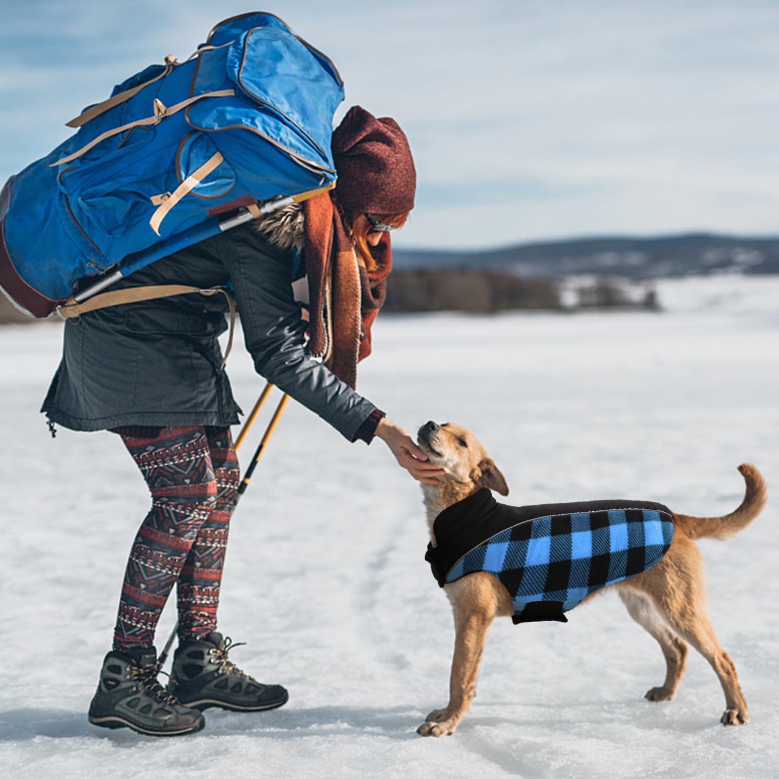 Kuoser dog winter coat christmas outfit showcases festive style for holiday photos.