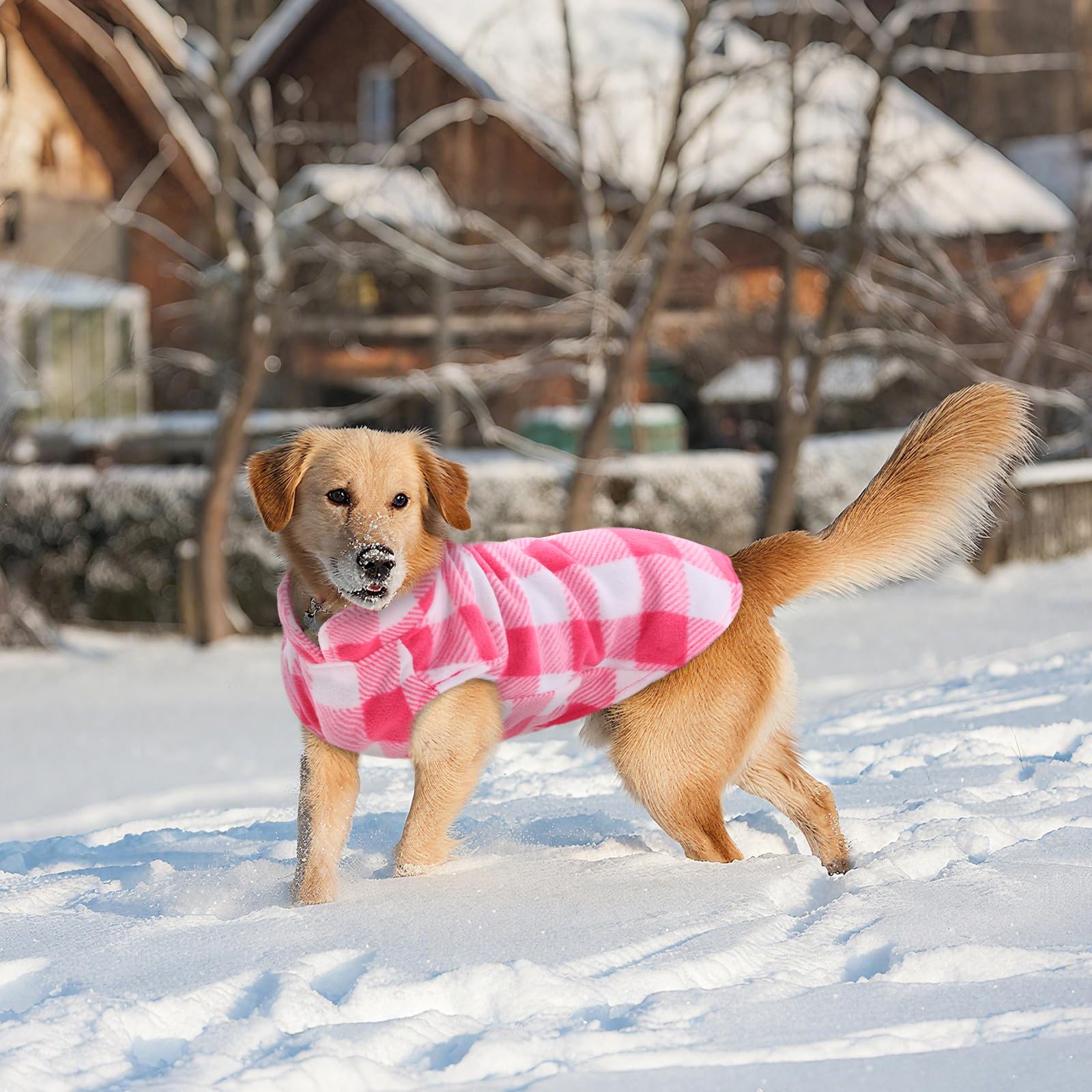 Kuoser winter outfit supports indoor-outdoor wear for spring, fall, and winter.