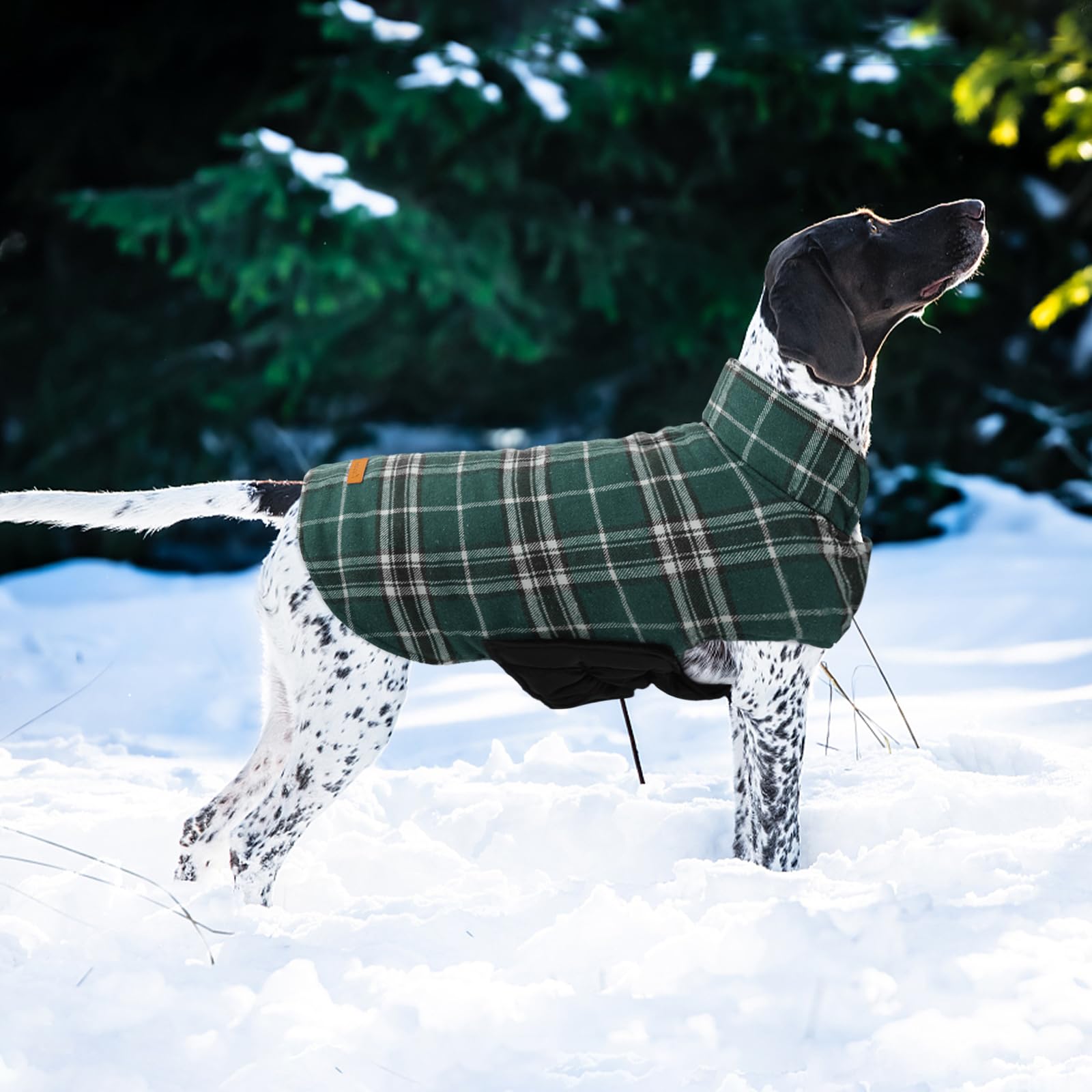 Kuoser double-layer fleece lining delivers warm comfort on walks