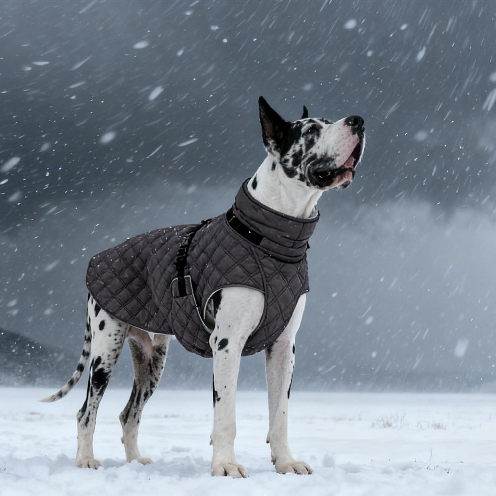 Kuoser grey fabric detail highlights durable material and warmth.