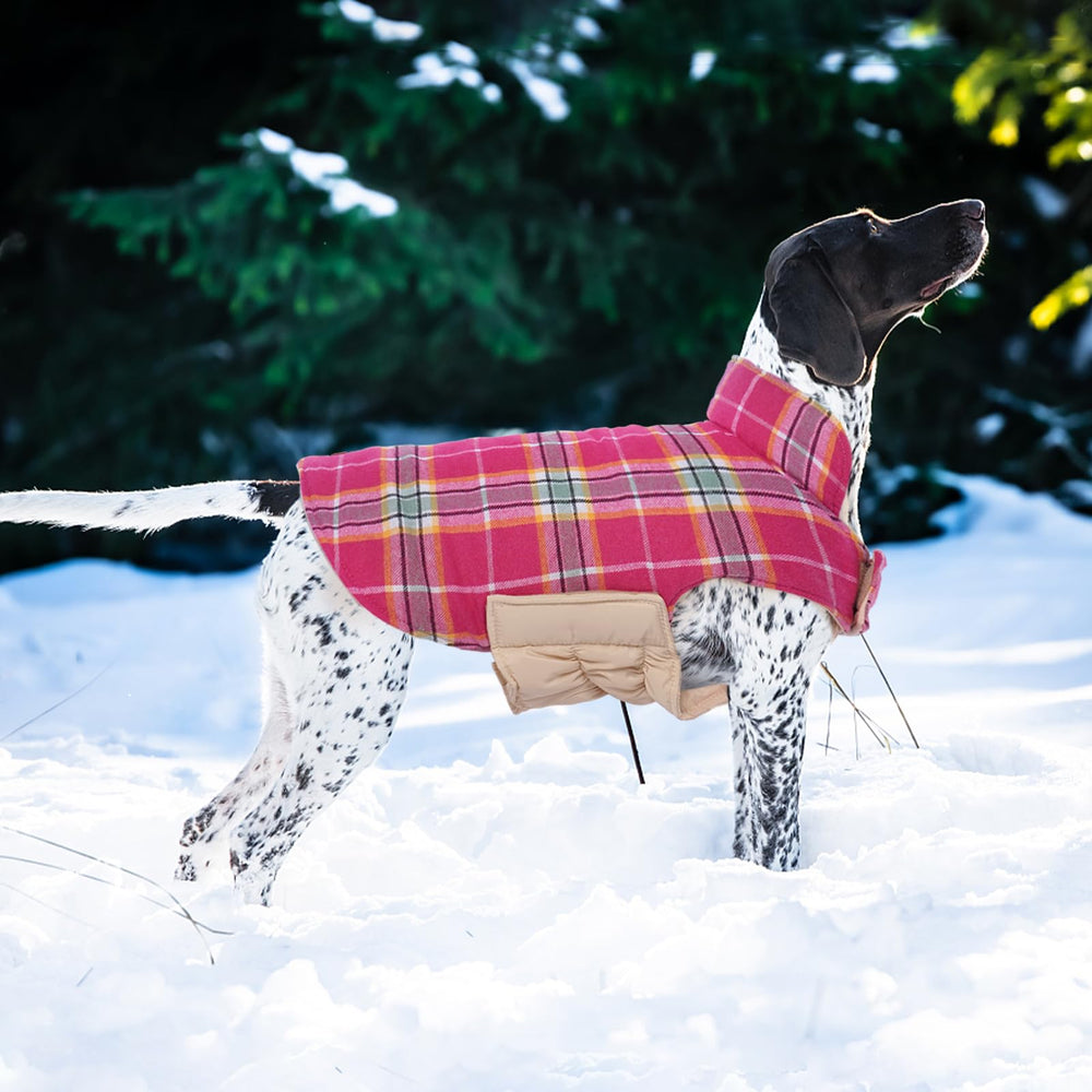 Kuoser Inner Fleece Lining provides cozy warmth on chilly strolls