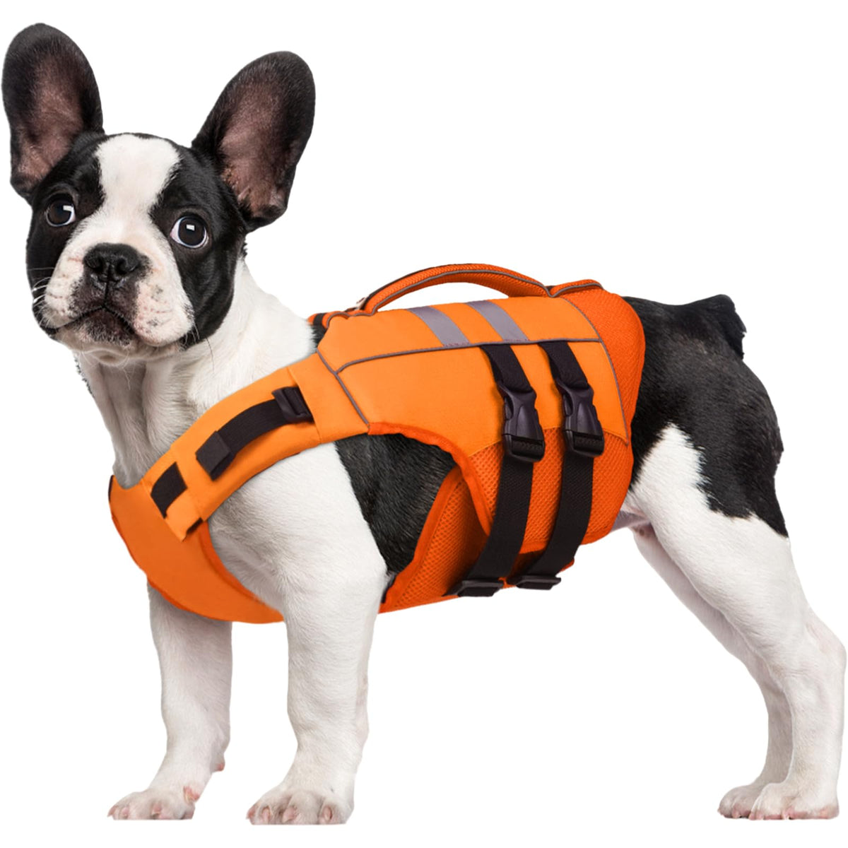 Kuoser lifejacket buoyancy-foam provides steady buoyant support for swimming.
