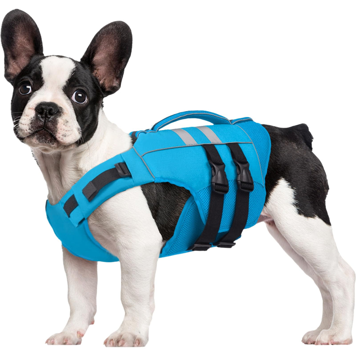 Kuoser medium dog life jacket blue front view with buoyant safety for swimming.