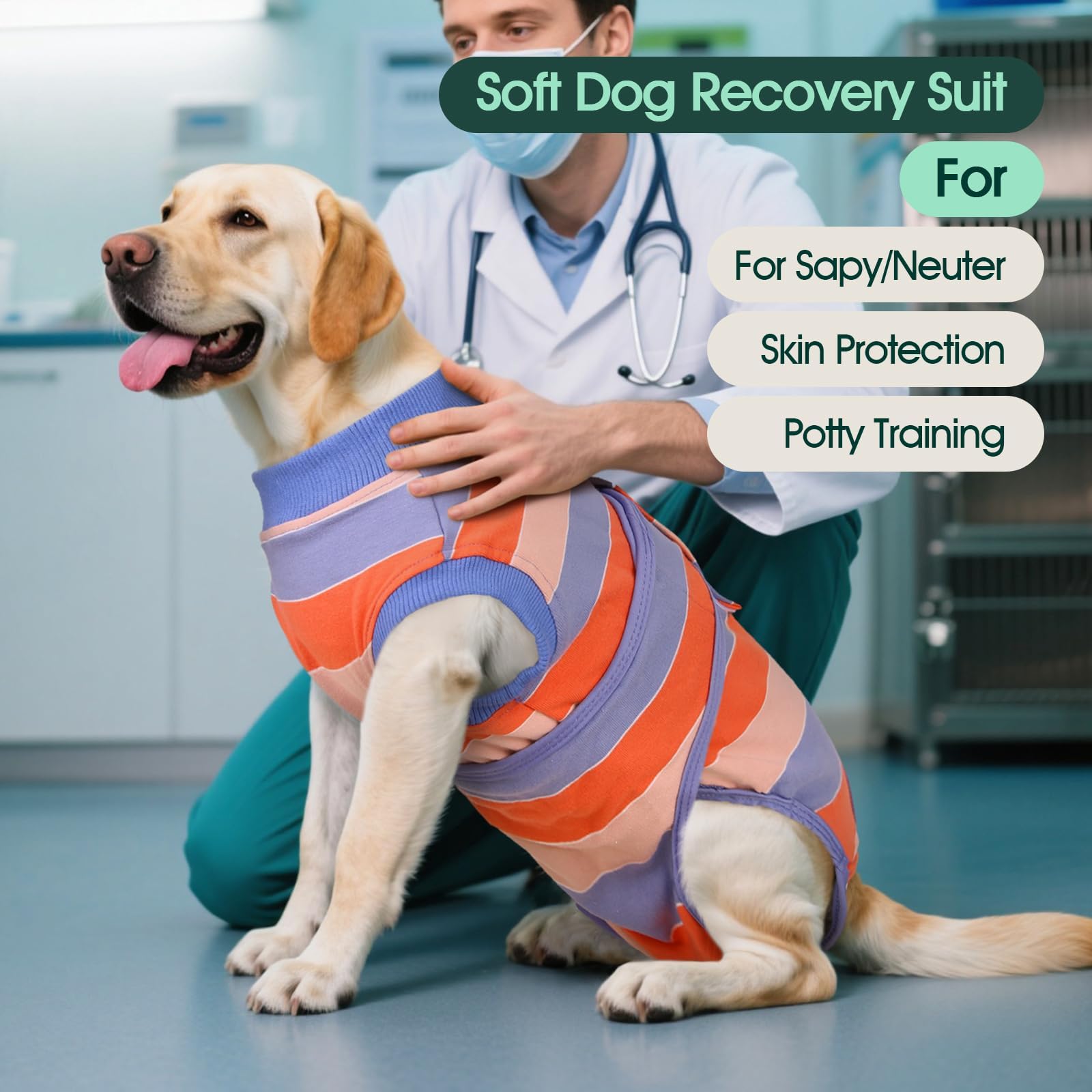 Kuoser orange-strips dog recovery suit protects wounds and enables meals.