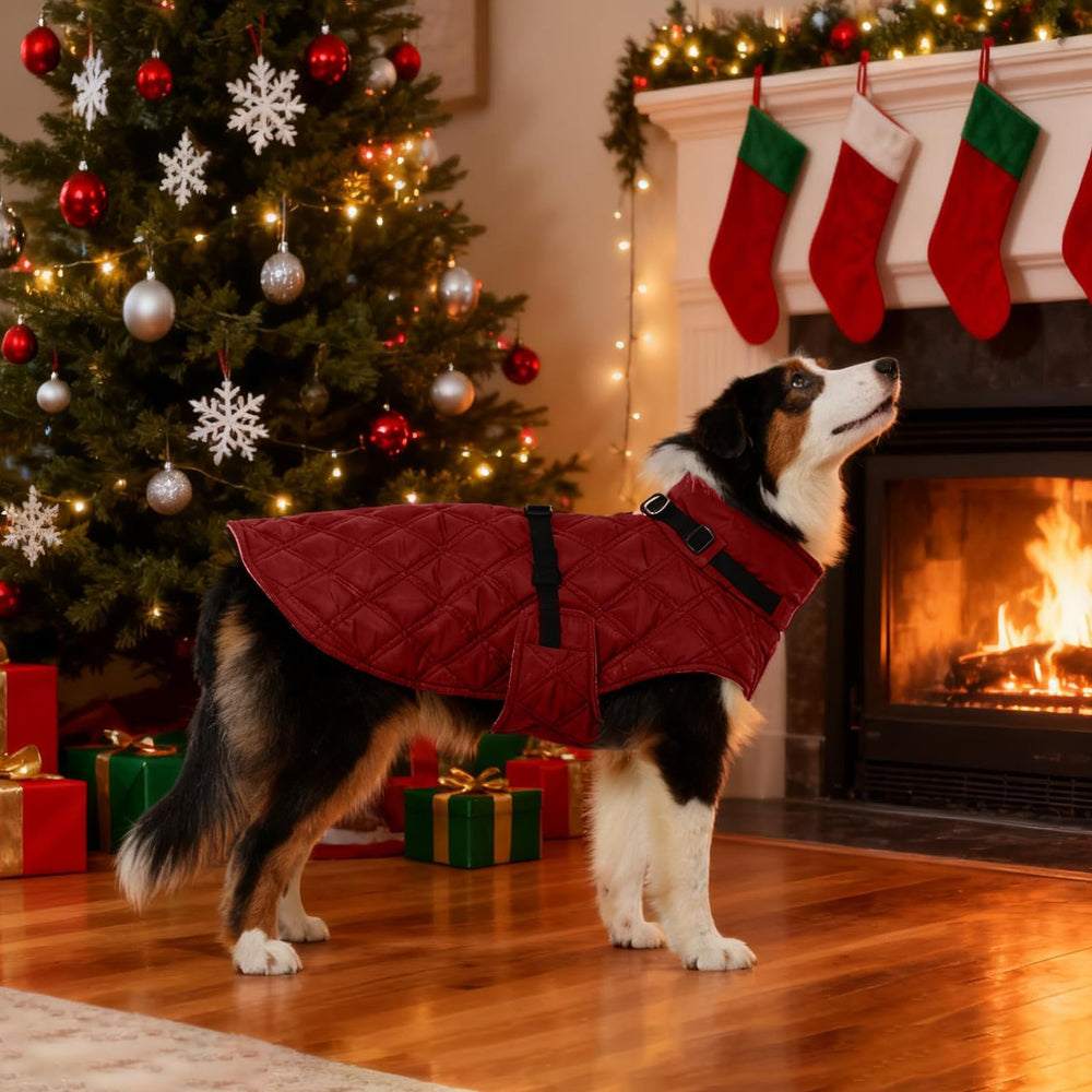 Kuoser outdoor dog winter wear keeps pets comfortable during camping and hiking