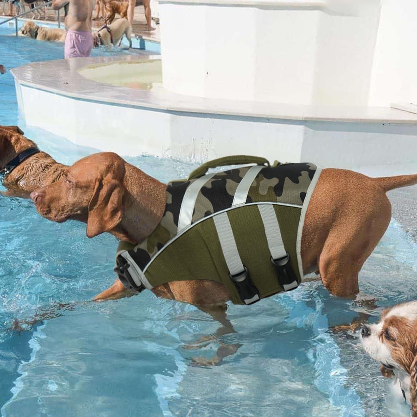 Kuoser pet swim life jacket designed for small to large dogs.