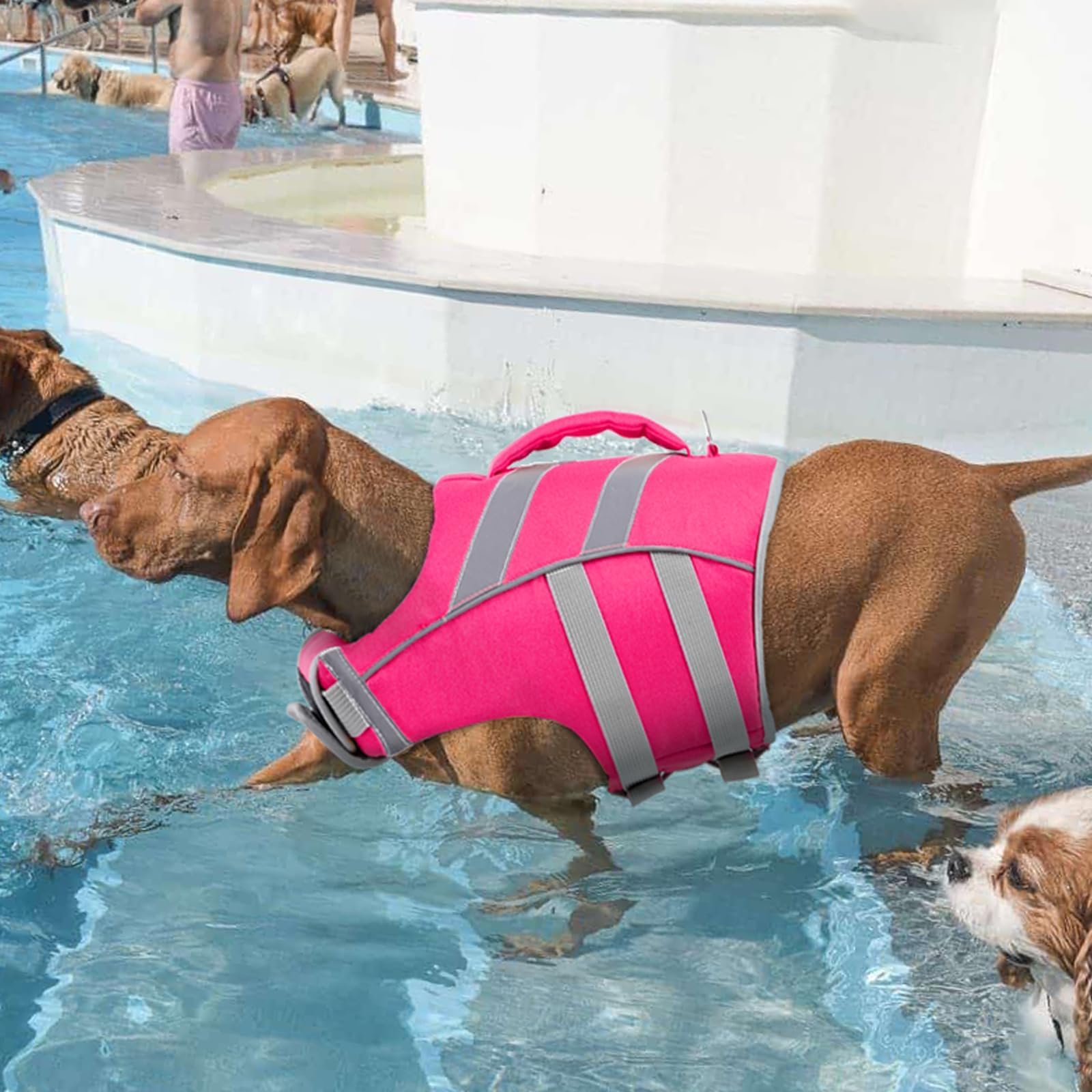 Pink Kuoser dog life vest worn on the beach