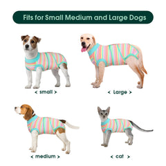 Kuoser Recovery Suit cat XS size; snug fit designed for small pets.