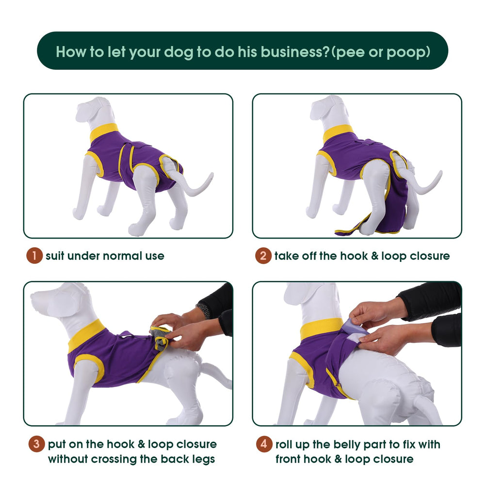 Kuoser Recovery Suit cone-alternative wearing shows safe, lick-prevention option.