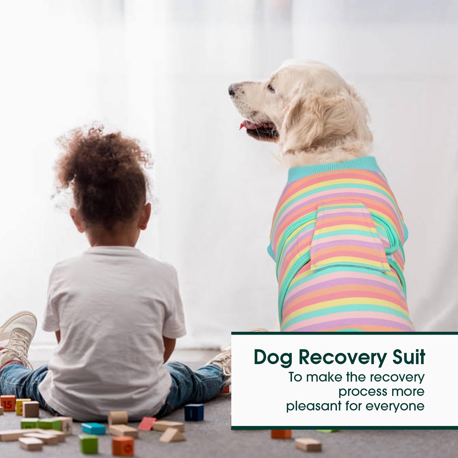 Kuoser Recovery Suit cone-alternative; helps prevent licking while healing.