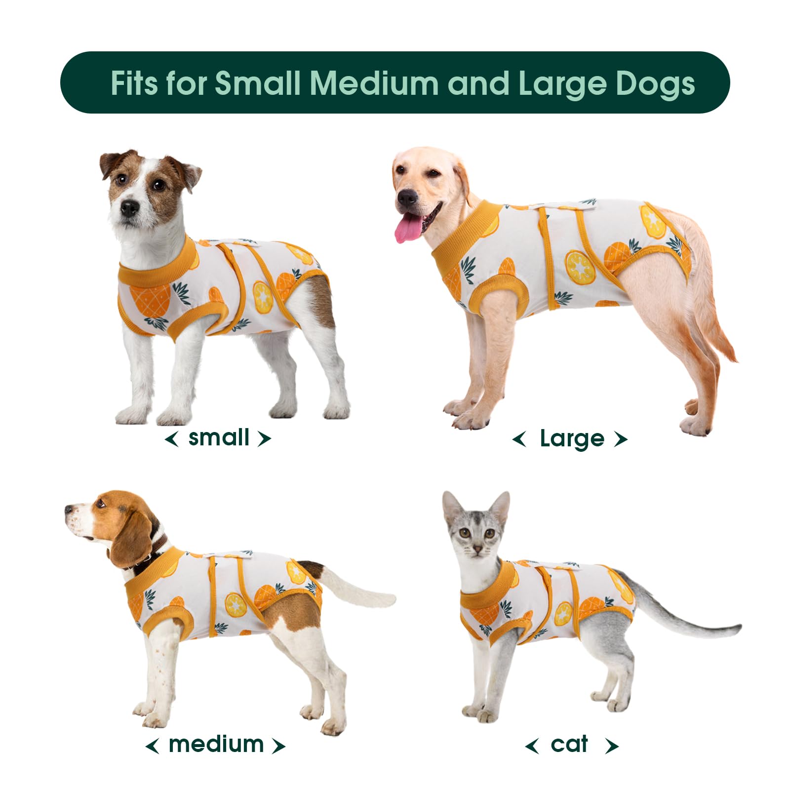 Kuoser Recovery Suit acts as a cone alternative, preventing licking while enabling mobility
