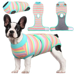 Kuoser Recovery Suit on a dog back view; supports comfort and reduces licking.