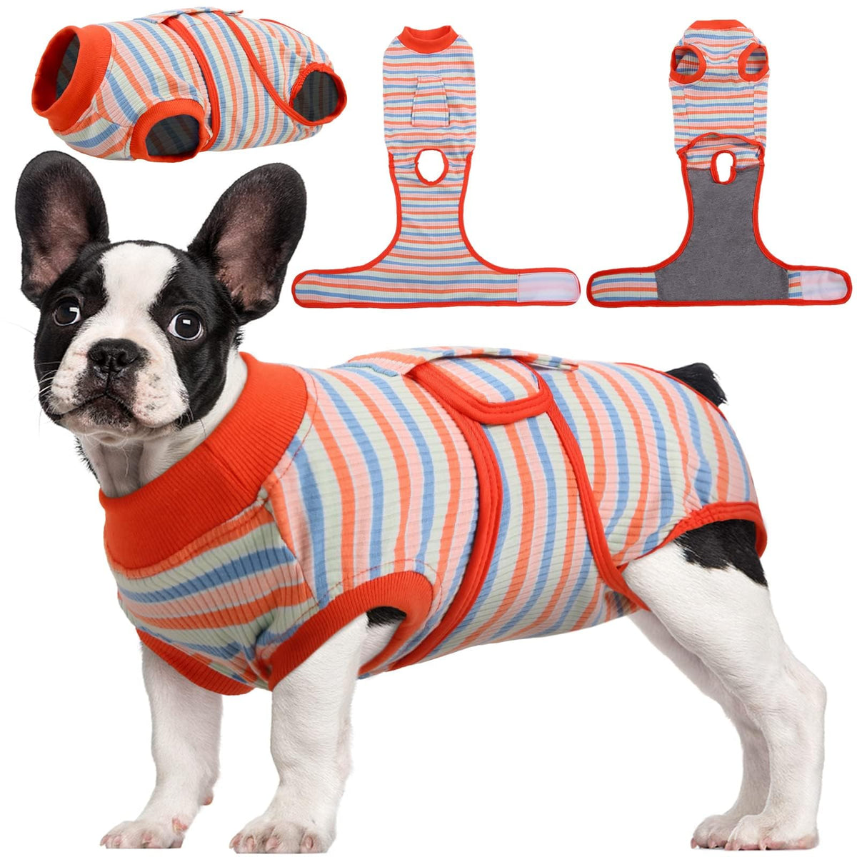 Kuoser Recovery Suit on dog after surgery offers gentle support and protection