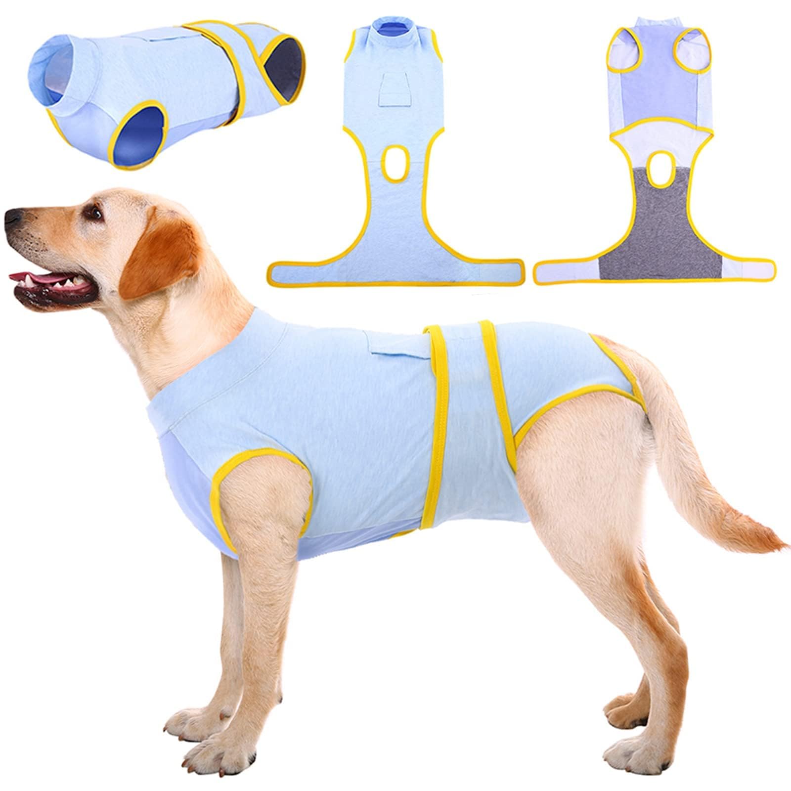Kuoser Recovery Suit on a dog wearing for comfort and lick prevention.