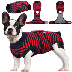 Kuoser Recovery Suit front view on dog and cat showing full torso coverage and comfort