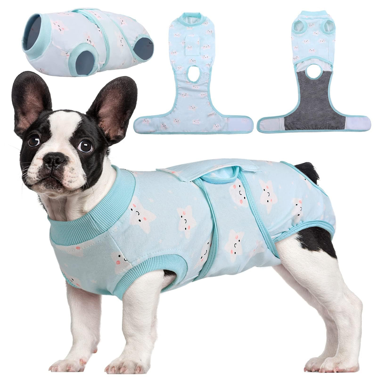 Kuoser Recovery Suit worn by a dog for post-surgery wound protection.
