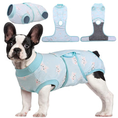 Kuoser Recovery Suit worn by a dog for post-surgery wound protection.