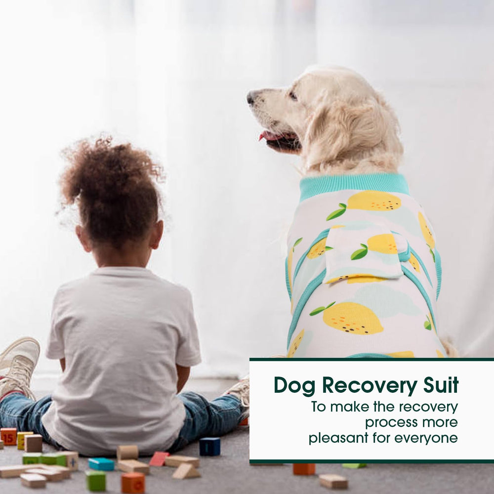 Kuoser recovery suit machine-washable fabric for easy cleaning and reuse.