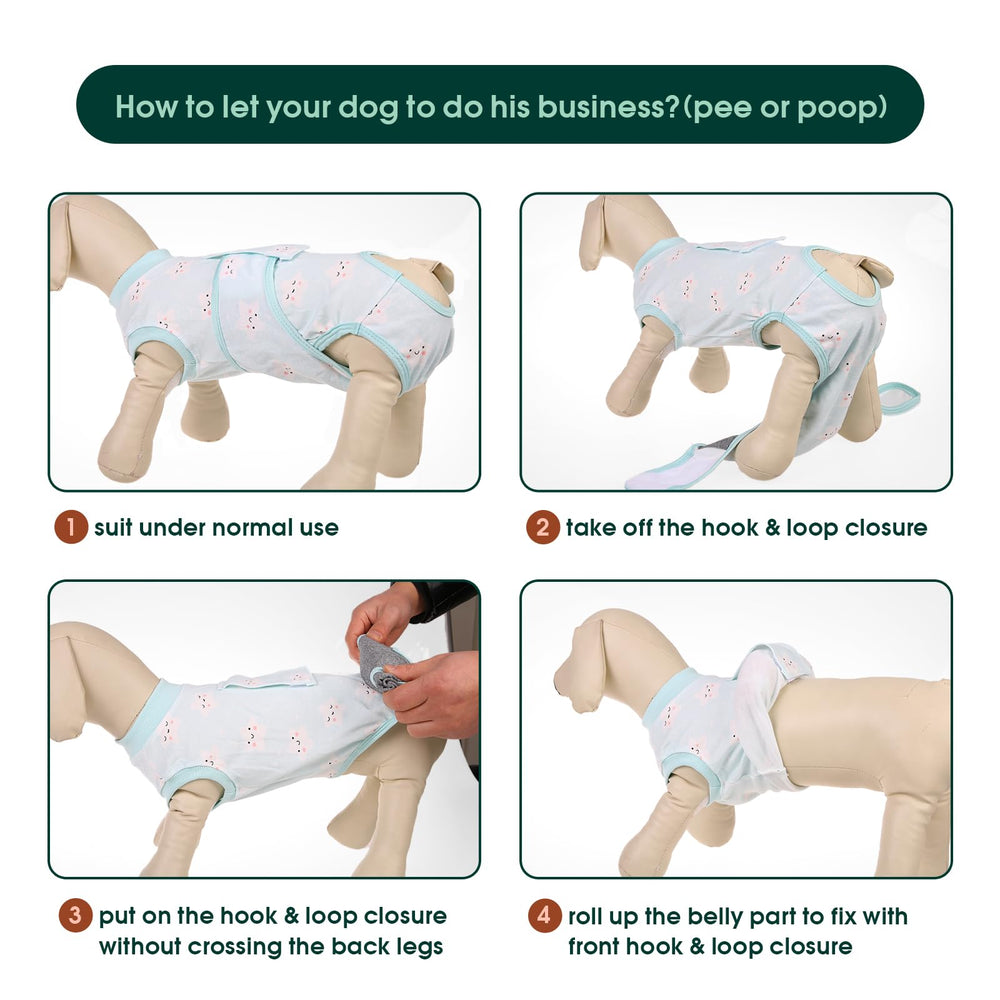 Kuoser Recovery Suit in post-surgery wear for dogs and cats.