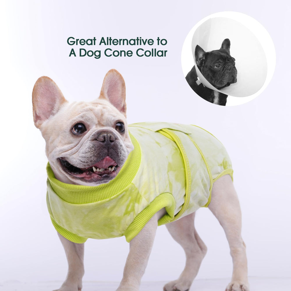 Kuoser recovery suit protects furniture during shedding with dog wearing suit