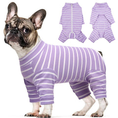 Kuoser recovery suit for small dogs back view protects incision and promotes calm post-surgery care