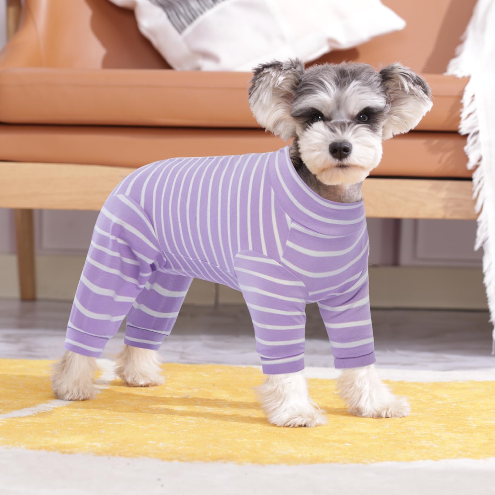 Kuoser recovery suit accommodates male dogs with adjustable round cut for comfort