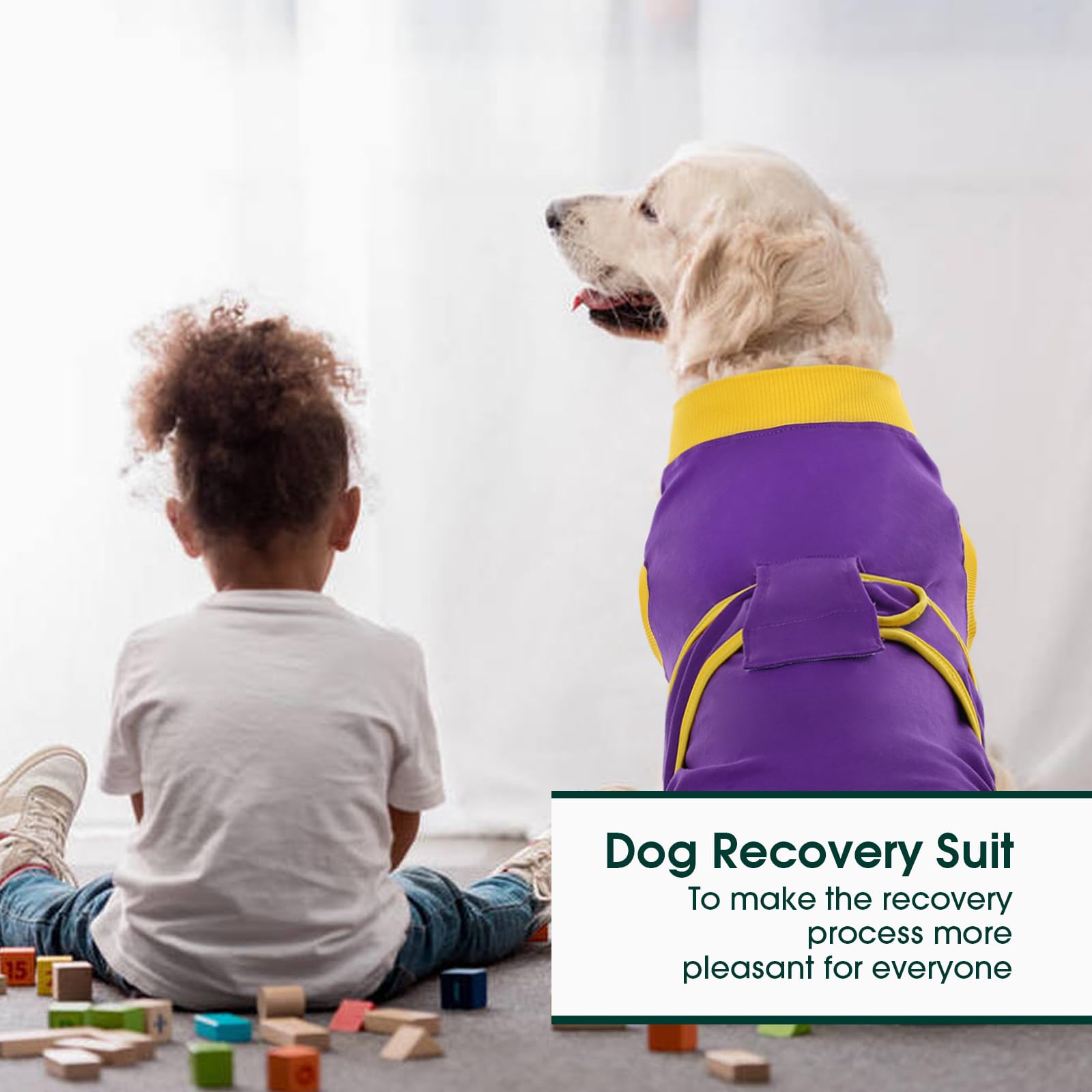 Kuoser Recovery Suit XS cat fit demonstrates size versatility for small pets.