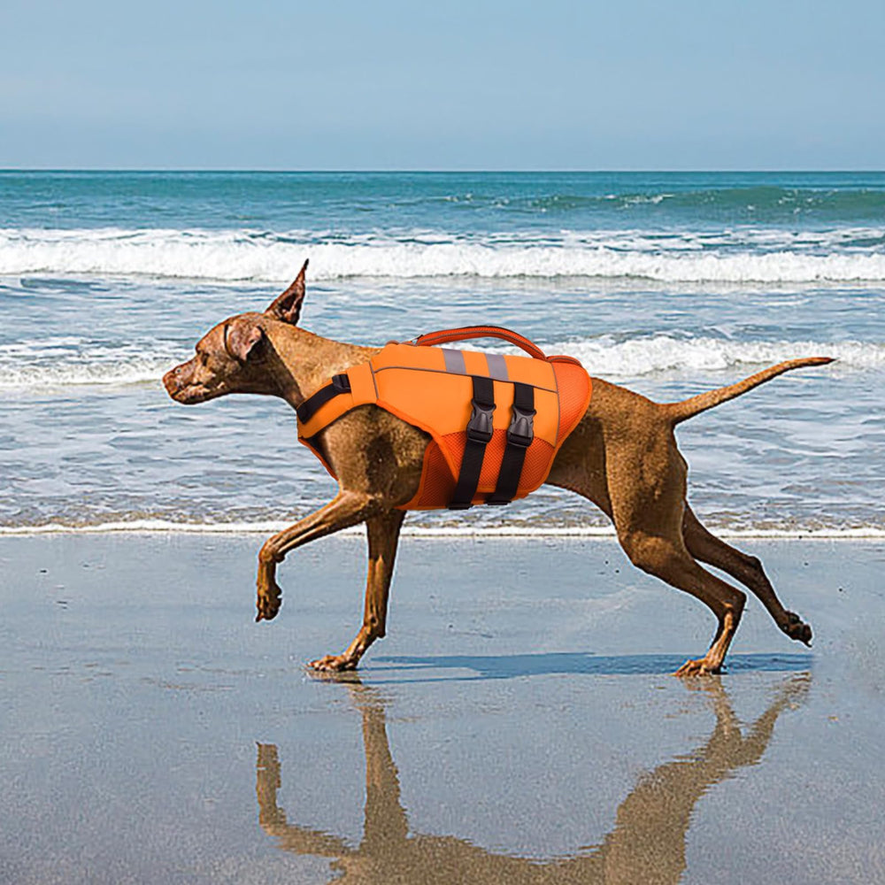 Kuoser reflective-tape-visibility helps spot dogs in low light.